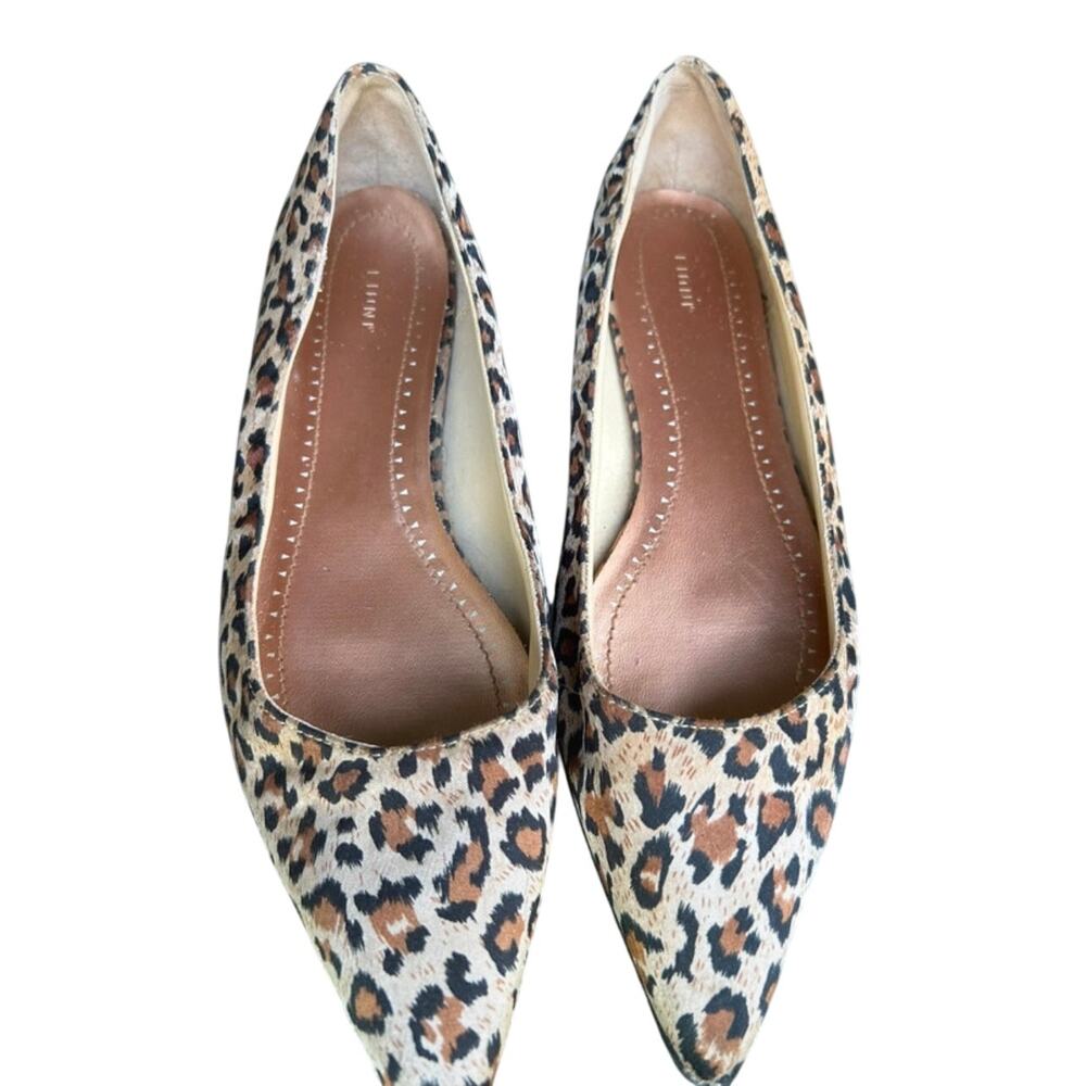 Fioni Leopard Print Pointed Toe Ballet Flats